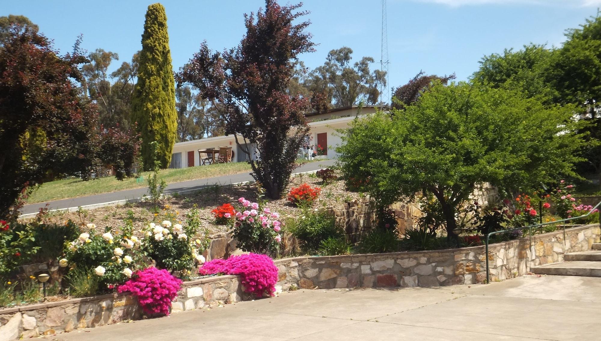 Clare Valley Motel Екстериор снимка