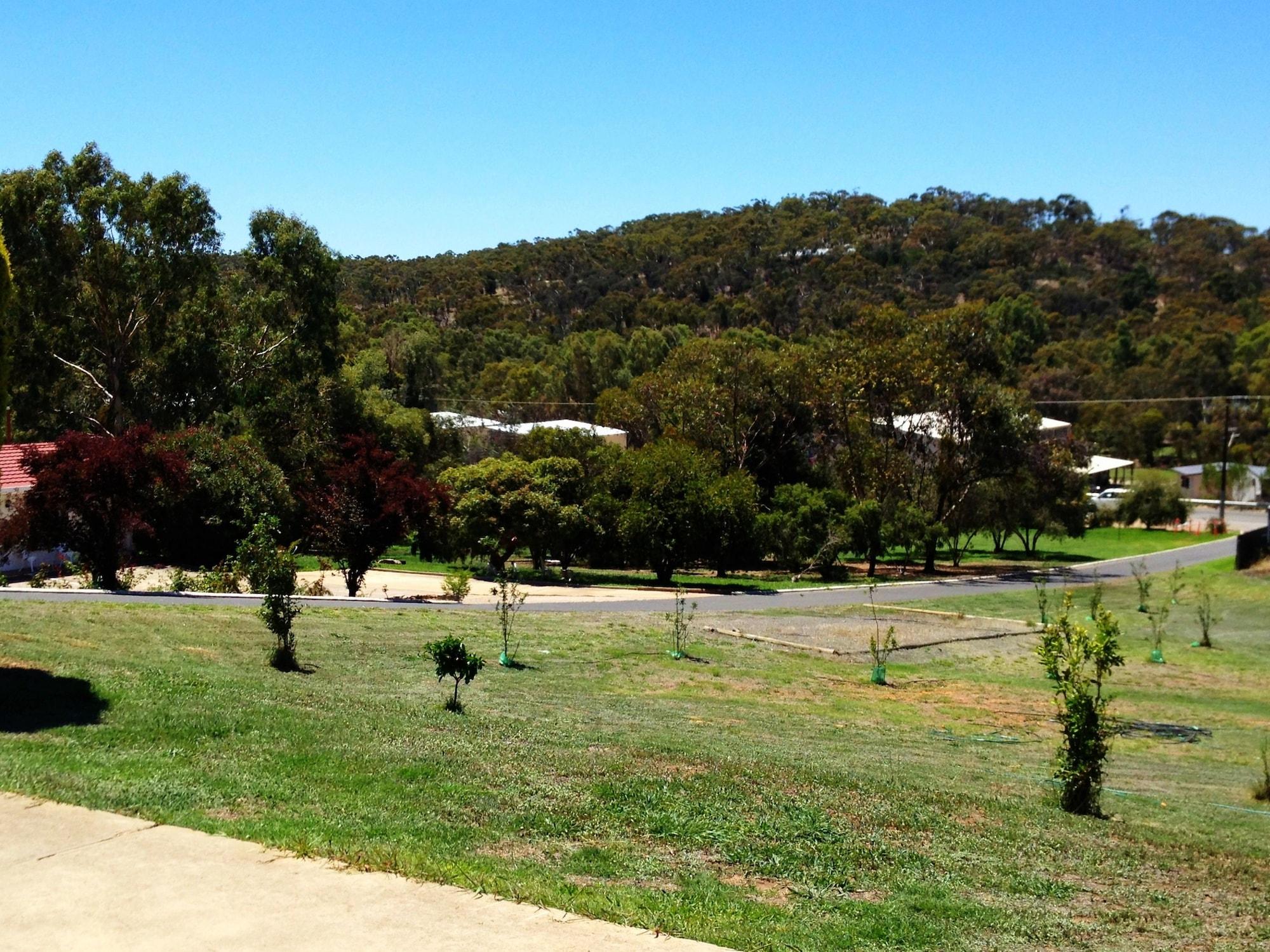 Clare Valley Motel Екстериор снимка