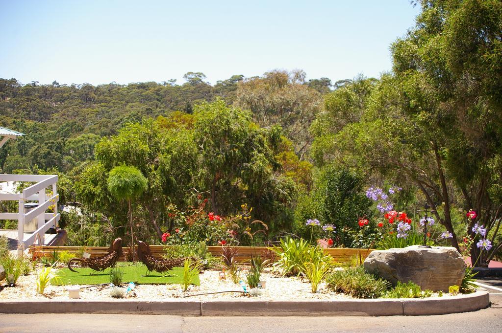 Clare Valley Motel Екстериор снимка