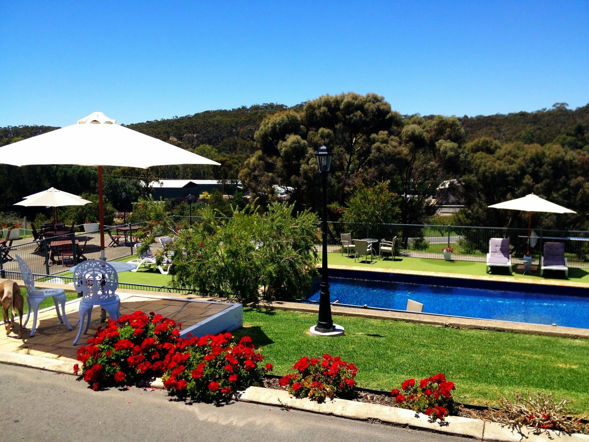Clare Valley Motel Екстериор снимка
